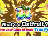 Catfruit