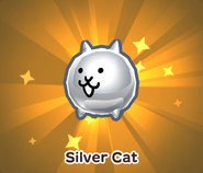 BCQ silver cat