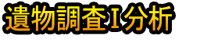 Ibutsu Chōsa Ⅰ Bunseki