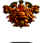 Sol Dae Rokker
