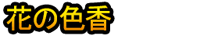 Hana no Iroka