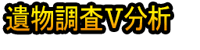 Ibutsu Chōsa Ⅴ Bunseki
