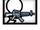 Mr. (Chat spécial)