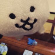 NewDogeTeaser.jpg (39 KB) Aku Doge in a teaser for Version 10.8