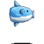 Young Man Mola