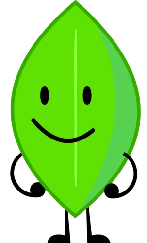 Leafy | Battle For Dream Island Wiki | Fandom