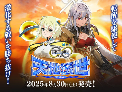 【非売品】伝説の武闘大会 マージャンソード B3 サイズ ポスター エンスカイ 早期予約割 FINAL FANTASY キャラクター ボーダー