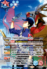 CB33-X03-SCR