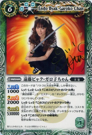 稀少本　バチカン所蔵　復刻版「クライヒガウ騎士団のトーナメントブック」 稀少本 バチカン所蔵 復刻版「クライヒガウ騎士団のトーナメント