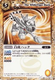 Huck1