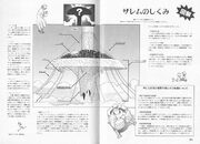 Tiphares - Its Morphology