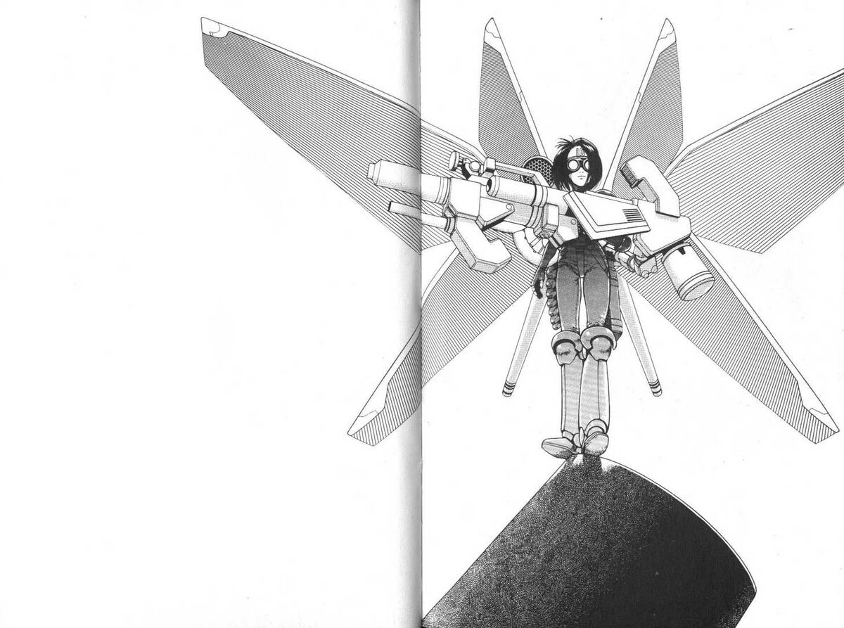 Solid Wing | Battle Angel Alita Wiki | Fandom