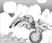 Fury naps on motorcycle