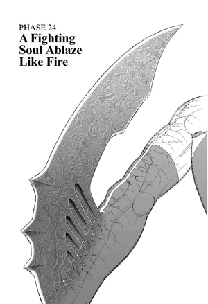 Phase 24 cover
