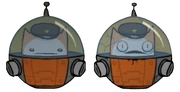 Catguard spaceship