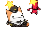 Cat Guard Low kick