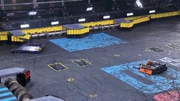 Tantrum watches on as Hydra is counted out.