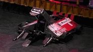 Lucky during BattleBots Proving Ground.