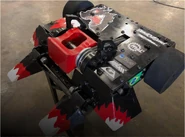 Black Dragon during World Championship V.