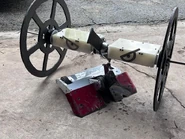 Don Doerfler's Ugee and Disko in 2022.