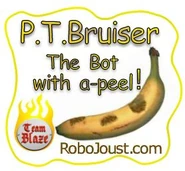 PTBruiserLogo.png (122 KB) The team's logo.