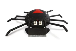 Black-Widow-bot-2020