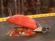 MouserMechaCatbotvsMechaTentomushiBattlebots5