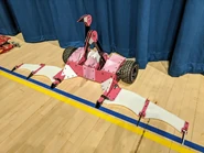 Two-Headed Death Flamingo in April 2022.