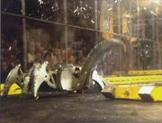 Fusion takes on Red Scorpion during the rumble.