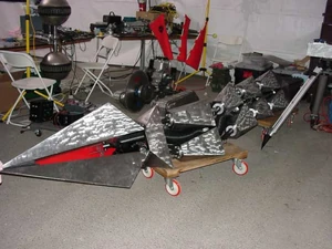 Snake during Season 2.0 of Comedy Central BattleBots.