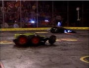 Greymattervdrillodillo