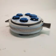 Cookie (3lb)