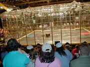 An audience perspective of Cyclone taking on OJ.