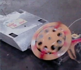 Slap 'Em Silly fighting Afterthought.