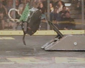 HexaDecimator flips Sharkbyte.