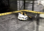 Doomba in the Test Box during World Championship VII.