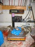 Hoserd.jpg (119 KB) Hoser'd during Season 5.0's BattleAnts.