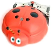 Tentomushi8.png (170 KB) Tentoumushi.