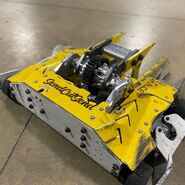 Big Dill as Banana Runt at Robot Ruckus 2021.