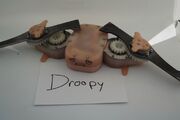 Droopy Tommy Wong
