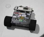 Micro Touro (3lb)
