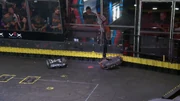 Minotaur gets the better of Tantrum early on.