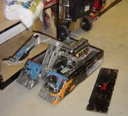 Deb Bot in 2003