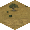 Steppe.png
