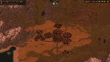 Ruins.jpg