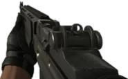 M39 EMR in first person