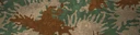 BF4 Starburst Woodland Paint