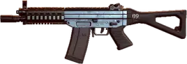 SG553 BFH