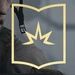 Battlefield V Into the Jungle Mission Icon 20