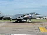 Harrier